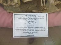 Amman: Archäologisches Museum