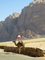 Wadi Rum