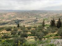 Blick vom Berg Nebo
