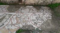 Die Reste des Mosaikbodens der christlichen Kirche in Jerash