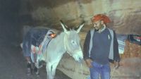 Eine Begegnung bei Petra bei Nacht