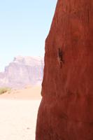 Einheimische im Wadi Rum