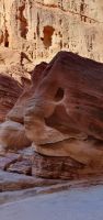 Elefant im Siq