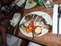 Fischessen in Aqaba