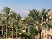 IAusführliche Rundreise im Königreich Jordanien - Blick aufs Tote Meer