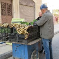 IMG_5180.JPG