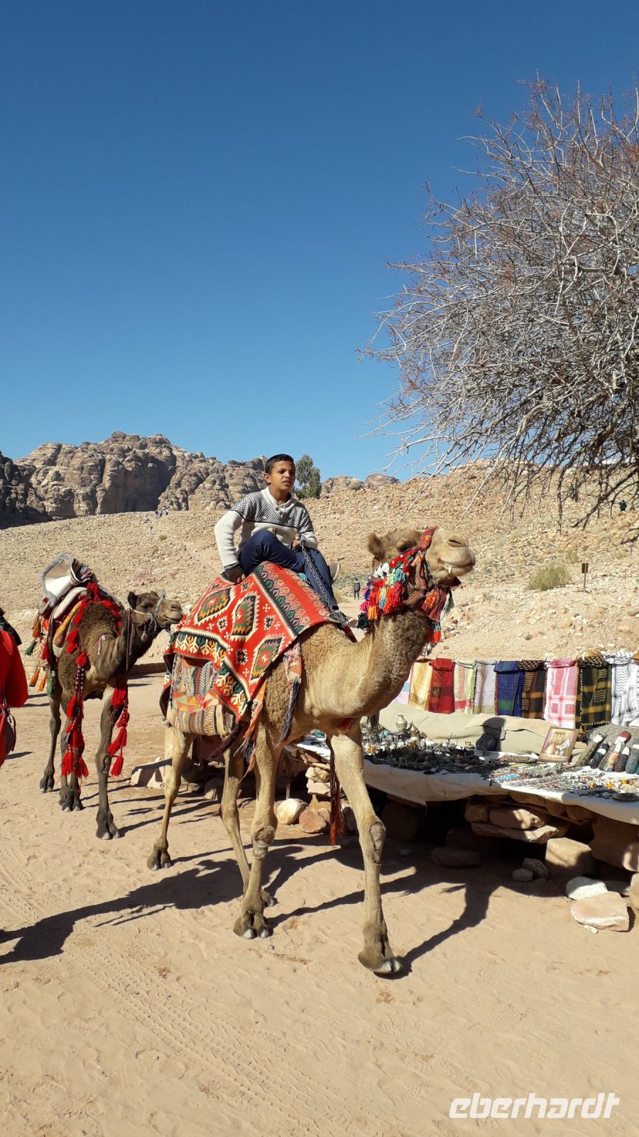 Impressionen in Petra