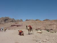 In Petra