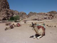 In Petra