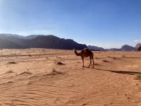 Jeepsafari Wadi Rum