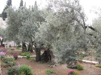 Jerusalem