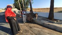 Jordanien, Amman, Beduinin mit Esel und Kind auf der Suche nach Essen und Futter