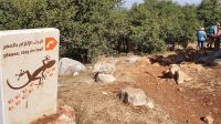 Jordanien, Naturreservat Ajloun