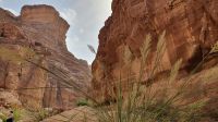 Jordanien, Wadi Numeira