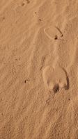 Jordanien, Wadi Rum, Kamelspuren im Wüstensand
