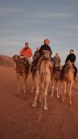 Jordanien, Wadi Rum, auf Kamelen in den Sonnenaufgang