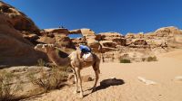 Jordanien, Wadi Rum, große Felsenbrücke