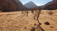 Jordanien, Wadi Rum