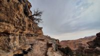 Jordanien, Wanderung nach Petra