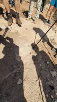 Jordanien, ein Skorpion auf der Wanderung
