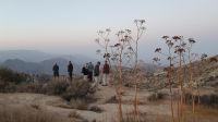 Jordanien, vor dem Frühstück im Rumana Zelt Camp