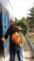 Khalil wird im Bus Möhrchen verteilen
