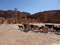 Petra Jordanien 
