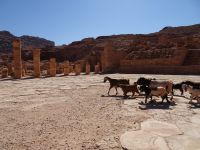 Petra Jordanien 