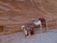 Petra Jordanien 