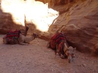 Petra Jordanien 