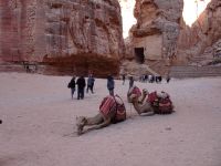 Petra Jordanien 