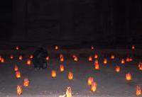 Petra by Night