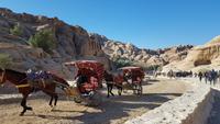 Petra
