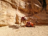 Petra