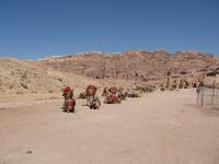 Petra