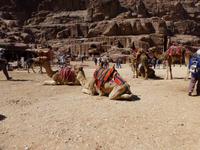 Petra