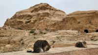 Rundreise Jordanien - Felsenstadt Petra