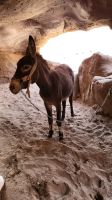 Rundreise Jordanien - Felsenstadt Petra