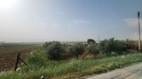 Rundreise Jordanien - unterwegs zum Berg Nebo
