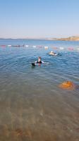 Schweben im Toten Meer