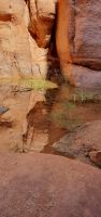 Spiegelbild im Wadi Numeira