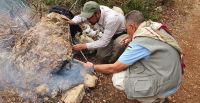 Teezubereitung im Naturreservat Ajloun