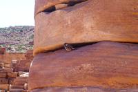 Unterwegs in Petra