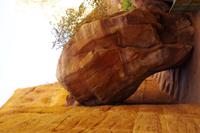 Unterwegs in Petra