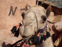 Wadi Rum Jordanien 