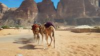 Wadi Rum