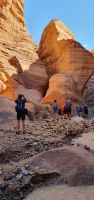 Wanderung im Wadi Numeira