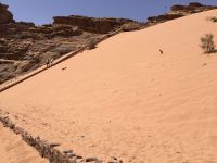 mit Sanddüne