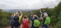 so viele Fotomotive im Naturreservat Ajloun