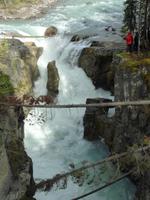 0041 Athabaska Wasserfall